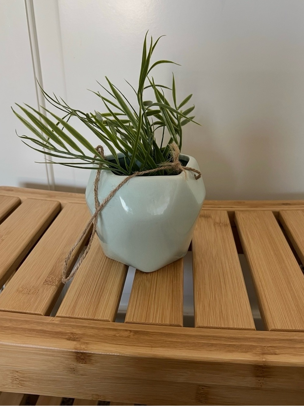 Target Pale Green Faceted Hanging Ceramic Planter